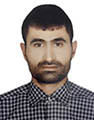 مهدی شریفی