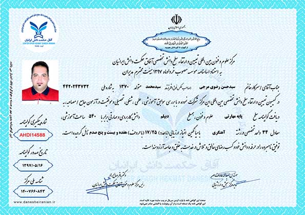سیدحسن رضوی مرجی مدرک